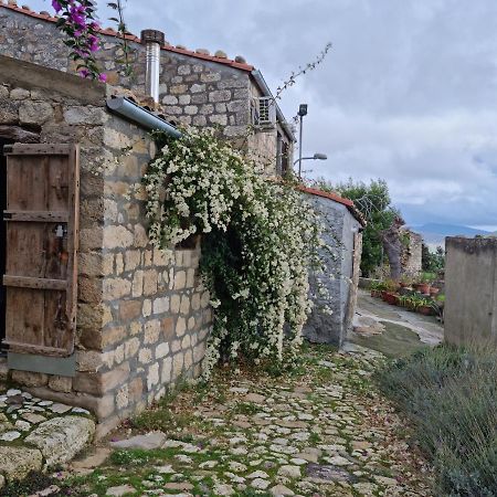 Casa Cipampini Guest House Petralia Soprana Exterior photo